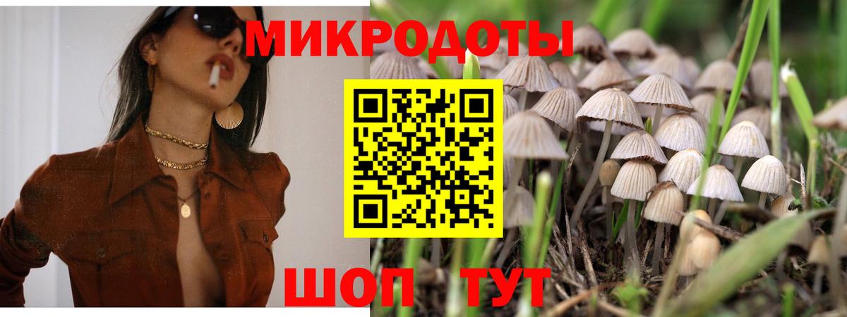 Псилоцибиновые грибы Psilocybe  Вход с VPN  Моздок  Псилоцибиновые грибы Cubensis 